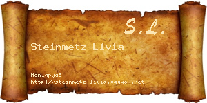 Steinmetz Lívia névjegykártya