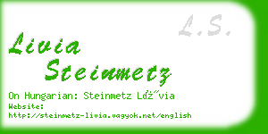 livia steinmetz business card